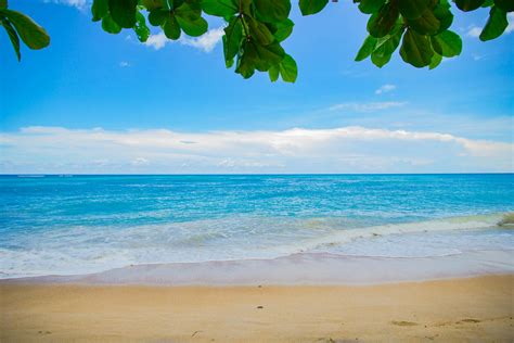 Free Beach Videos: 4K Stock Footage of Sea Beach & Pixabay。